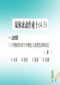 2018年秋九年级化学全册 双休滚动作业（10）习题课件 （新版）鲁教版