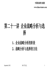 第二十讲企业战略分析与选择