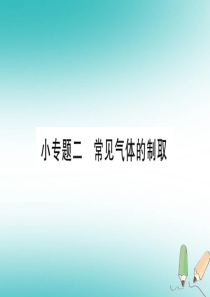 2018年秋九年级化学 小专题2 常见气体的制取习题课件 （新版）粤教版