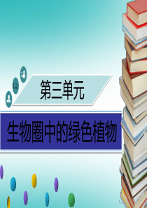 2018年秋季七年级生物上册 第三单元 第5章 第3节 吸收作用习题课件 （新版）北师大版