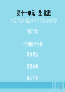 2018年秋季开学九年级化学下册《第十一单元 盐 化肥》实验活动8 粗盐中难溶性杂质的去除（课堂导学