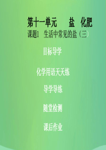 2018年秋季开学九年级化学下册《第十一单元 盐 化肥》课题1 生活中常见的盐（3）（课堂导学+课后