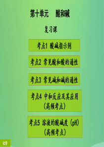 2018年秋季开学九年级化学下册《第十单元 酸和碱》复习课（课堂导学+课后作业）课件 （新版）新人教