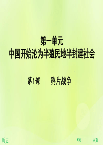 2018年秋八年级历史上册 第一单元 中国开始沦为半殖民地半封建社会 第1课 鸦片战争（能力提升）课