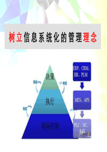 第五章_管理信息系统的战略规划和开发方法