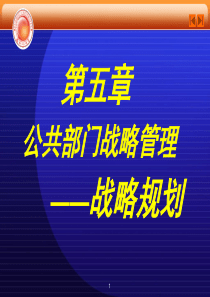 第五章公共部门战略管理之战略规划(11年10月9日)