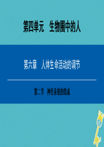 2018年七年级生物下册 第四单元 第六章 第二节 神经系统的组成课件 （新版）新人教版