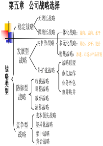 第五章公司战略选择