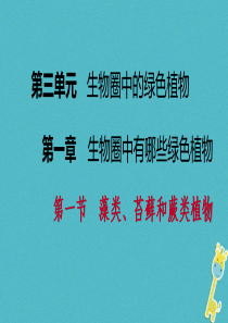 2018年七年级生物上册 第三单元 第一章 第一节　藻类、苔藓和蕨类植物课件 （新版）新人教版