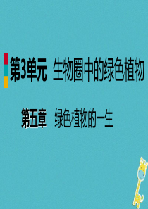 2018年七年级生物上册 第三单元 第五章 第五节 植物的开花和结果（第2课时 果实的形成和结构）课