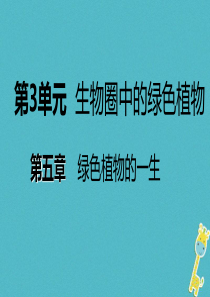 2018年七年级生物上册 第三单元 第五章 第二节 植物根的生长课件 （新版）苏教版