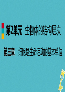 2018年七年级生物上册 第二单元 第三章 第一节 植物细胞的结构与功能课件 （新版）苏教版