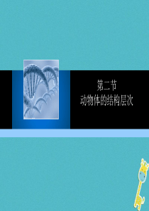 2018年七年级生物上册 第二单元 第二章 第二节 动物体的结构层次教学课件 （新版）新人教版