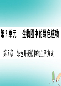 2018年七年级生物上册 第3单元 第5章 第1节 光合作用（第1课时）习题课件 （新版）北师大版