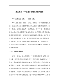 第五部分 业务分战略及其相关措施1