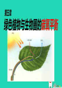 2018年七年级生物上册 3.5《绿色植物与生物圈中的碳—氧平衡》课件1 （新版）新人教版