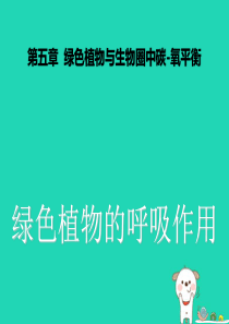 2018年七年级生物上册 3.5.2《绿色植物的呼吸作用》课件1 （新版）新人教版