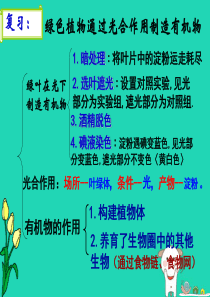 2018年七年级生物上册 3.5.1《光合作用吸收二氧化碳释放氧气》课件2 （新版）新人教版