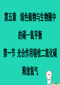 2018年七年级生物上册 3.5.1《光合作用吸收二氧化碳释放氧气》课件1 （新版）新人教版