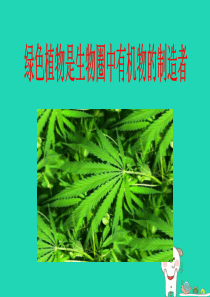 2018年七年级生物上册 3.4《绿色植物是生物圈中有机物的制造者》课件1 （新版）新人教版