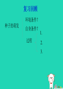 2018年七年级生物上册 3.2.2《植株的生长》课件1 （新版）新人教版