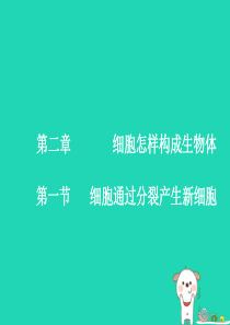 2018年七年级生物上册 2.2.1《细胞通过分裂产生新细胞》课件1 （新版）新人教版