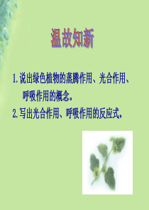 2018年七年级生物上册 2.1.5《绿色植物在生物圈中的作用》课件 （新版）济南版