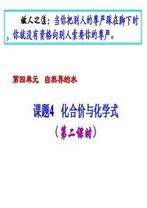 人教版九年级化学课件：第四单元自然界的水第四章化学式与化合价2