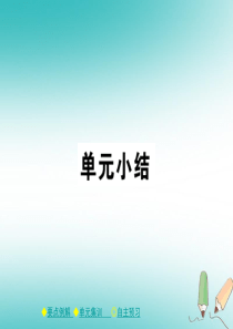 2018年春九年级化学下册 第十一章 盐 化肥单元小结课件 （新版）新人教版