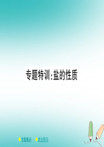 2018年春九年级化学下册 第十一章 盐 化肥 专题特训 盐的性质课件 （新版）新人教版