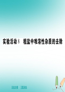 2018年春九年级化学下册 第十一章 盐 化肥 实验活动8 粗盐中难溶性杂质的去除课件 （新版）新人