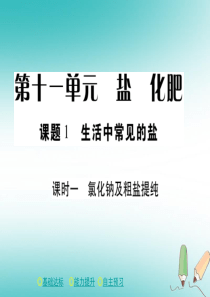 2018年春九年级化学下册 第十一章 盐 化肥 课题1 生活中常见的盐（课时一）课件 （新版）新人教