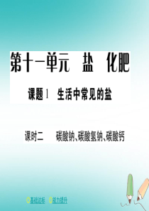 2018年春九年级化学下册 第十一章 盐 化肥 课题1 生活中常见的盐（课时二）课件 （新版）新人教