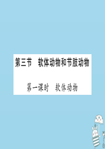 2018年八年级生物上册 第五单元 第一章 第三节 软体动物和节肢动物（第1课时 软体动物）习题课件