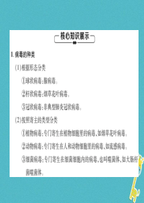 2018年八年级生物上册 第5单元 第5章 病毒练习课件 （新版）新人教版