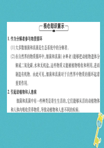 2018年八年级生物上册 第5单元 第4章 第4节 细菌和真菌在自然界中的作用练习课件 （新版）新人