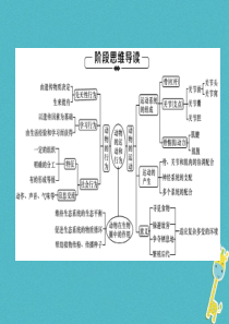 2018年八年级生物上册 第5单元 第2、3章复习练习课件 （新版）新人教版