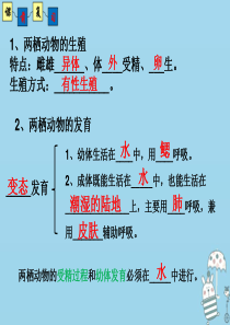 2018年八年级生物上册 4.2.3《鸟的生殖和发育》课件2 （新版）济南版