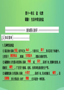 2018届九年级化学下册 第十一单元 盐 化肥 课题1 生活中常见的盐课件 （新版）新人教版