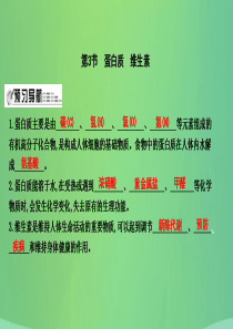 2018届九年级化学下册 第8章 食品中的有机化合物 第3节 蛋白质 维生素课件 沪教版