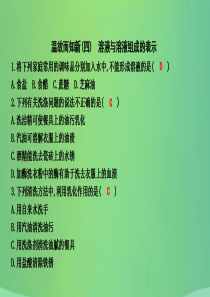 2018届九年级化学下册 第6章 溶解现象 温故而知新（四）溶液与溶液组成的表示课件 沪教版