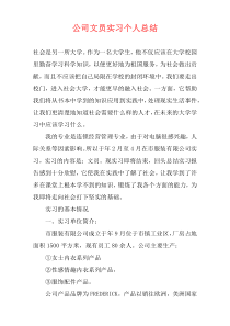 公司文员实习个人总结