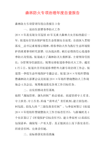 森林防火专项治理年度自查报告