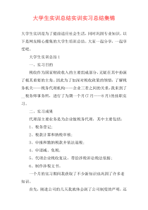 大学生实训总结实训实习总结集锦