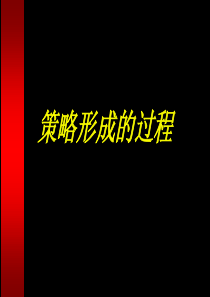 策略形成过程（PPT55页）