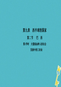 2017-2018学年七年级地理下册 第九章 第二节 巴西（第1学时 大量混血种人的社会 发展中的工