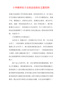 小学教师实习自我总结报告五篇范例