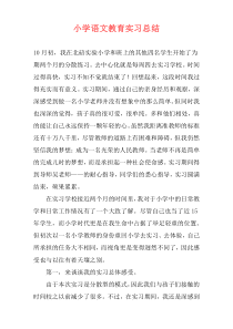 小学语文教育实习总结