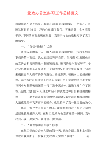 党政办公室实习工作总结范文