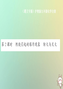 （遵义专版）2018年秋九年级化学全册 第4章 认识化学变化 4.1 常见的化学反应—燃烧 第2课时